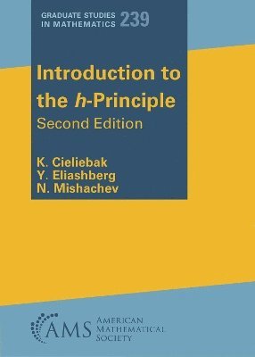 bokomslag Introduction to the h-Principle