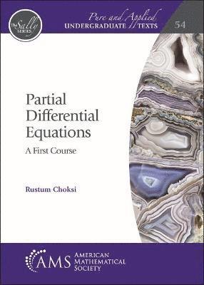 bokomslag Partial Differential Equations