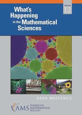 Dana Mackenzie - What's Happening in the Mathematical Sciences, Volume 12, Häftad