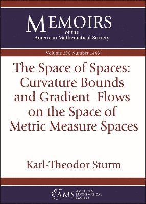 Karl-Theodor Sturm - Space of Spaces: Curvature Bounds and Gradient Flows on the Space of Metric Measure Spaces, Häftad