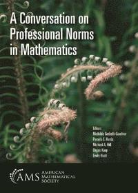bokomslag A Conversation on Professional Norms in Mathematics
