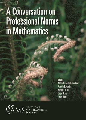 Mathilde Gerbelli-Gauthier, Pamela E. Harris, Michael A. Hill, Dagan Karp, Emily Riehl - Conversation on Professional Norms in Mathematics, Häftad