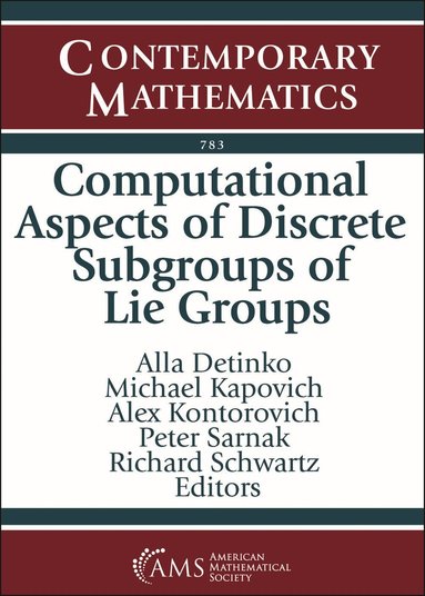 Alla Detinko, Michael Kapovich, Alex Kontorovich, Peter Sarnak, Richard Schwartz - Computational Aspects of Discrete Subgroups of Lie Groups, Häftad