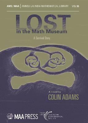 Lost in the Math Museum