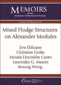 bokomslag Mixed Hodge Structures on Alexander Modules