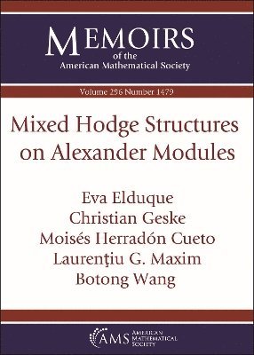 bokomslag Mixed Hodge Structures on Alexander Modules