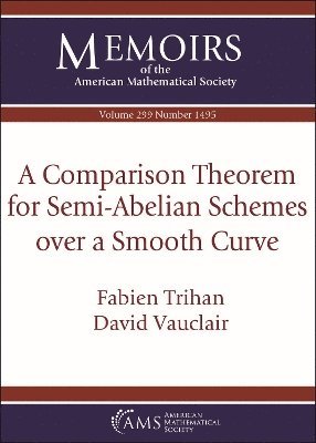 bokomslag A Comparison Theorem for Semi-Abelian Schemes over a Smooth Curve