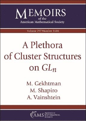 bokomslag A Plethora of Cluster Structures on $GL_n$