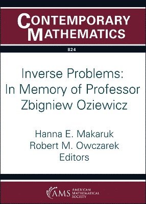 bokomslag Inverse Problems: in Memory of Professor Zbigniew Oziewicz