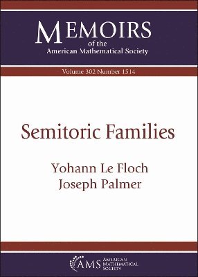 bokomslag Semitoric Families