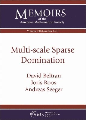 Multi-scale Sparse Domination 1