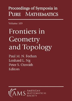 bokomslag Frontiers in Geometry and Topology