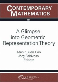 bokomslag A Glimpse into Geometric Representation Theory