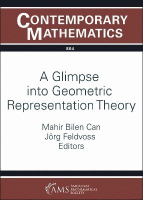 A Glimpse into Geometric Representation Theory 1