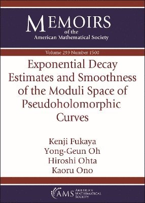 Exponential Decay Estimates and Smoothness of the Moduli Space of Pseudoholomorphic Curves 1