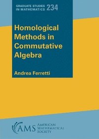 bokomslag Homological Methods in Commutative Algebra