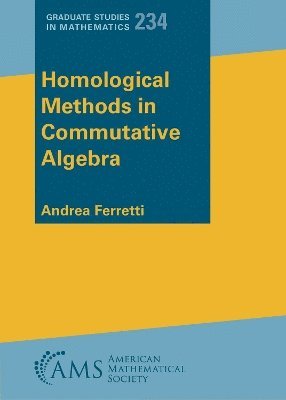 bokomslag Homological Methods in Commutative Algebra