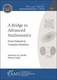 bokomslag Bridge to Advanced Mathematics