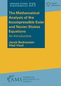bokomslag The Mathematical Analysis of the Incompressible Euler and Navier-Stokes Equations