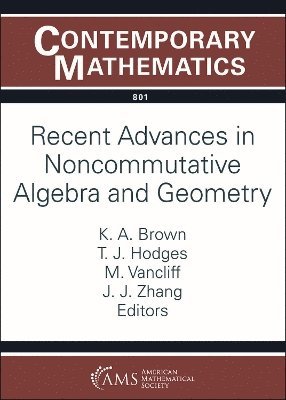 bokomslag Recent Advances in Noncommutative Algebra and Geometry