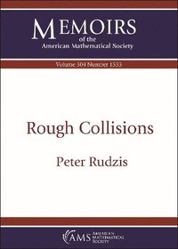 bokomslag Rough Collisions