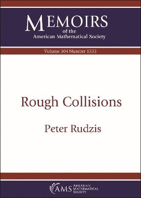 bokomslag Rough Collisions
