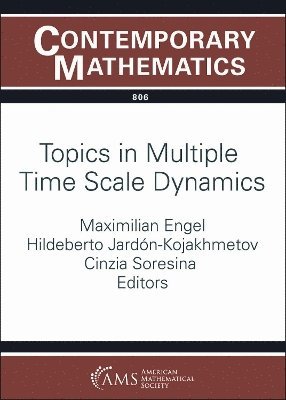 bokomslag Topics in Multiple Time Scale Dynamics