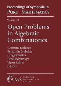 bokomslag Open Problems in Algebraic Combinatorics