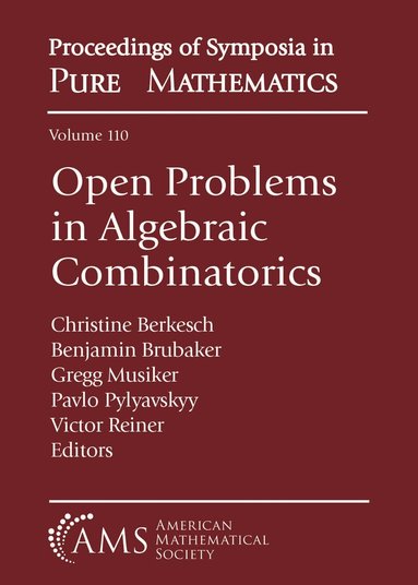 Christine Berkesch, Benjamin Brubaker, Gregg Musiker, Pavlo Pylyavskyy, Victor Reiner - Open Problems in Algebraic Combinatorics, Häftad
