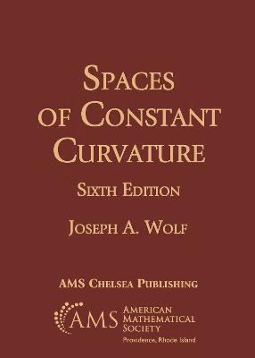 bokomslag Spaces of Constant Curvature