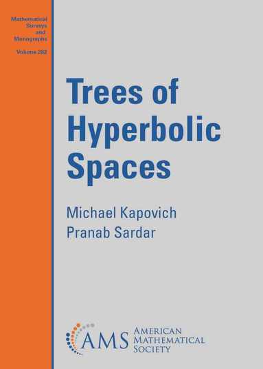 Michael Kapovich, Pranab Sardar - Trees of Hyperbolic Spaces, Häftad