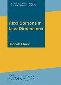 bokomslag Ricci Solitons in Low Dimensions