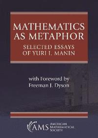 bokomslag Mathematics As Metaphor