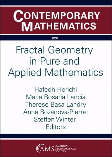 Hafedh Herichi, Maria Rosaria Lancia, Therese Basa Landry, Anna Rozanova-Pierrat, Steffen Winter - Fractal Geometry in Pure and Applied Mathematics, Häftad
