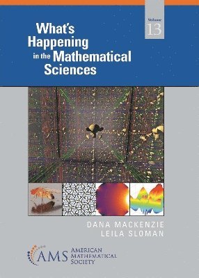 Dana Mackenzie, Leila Sloman - What's Happening in the Mathematical Sciences, Häftad