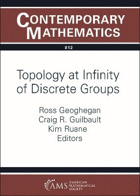 Topology at Infinity of Discrete Groups 1