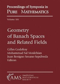bokomslag Geometry of Banach Spaces and Related Fields