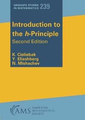 bokomslag Introduction to the h-Principle