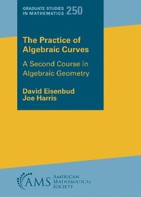 bokomslag The Practice of Algebraic Curves