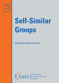 bokomslag Self-Similar Groups