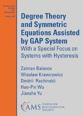 bokomslag Degree Theory and Symmetric Equations Assisted by GAP System