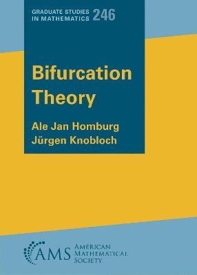 bokomslag Bifurcation Theory