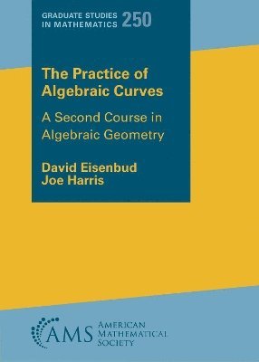 bokomslag The Practice of Algebraic Curves