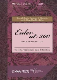 bokomslag Euler At 300