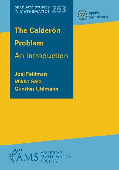 Joel Feldman, Mikko Salo, Gunther Uhlmann - Calderon Problem, Häftad