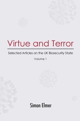 bokomslag Virtue and Terror