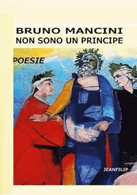 bokomslag Non sono un principe