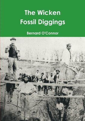 bokomslag Wicken Fossil Diggings