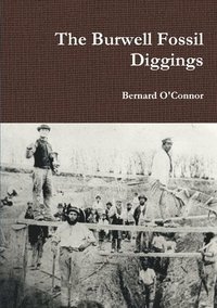 bokomslag Burwell Fossil Diggings