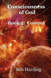 bokomslag Consciousness of God Book 3